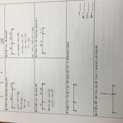 Cloning the basics answer key