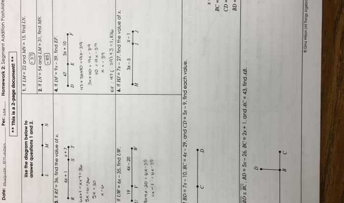 Cloning the basics answer key