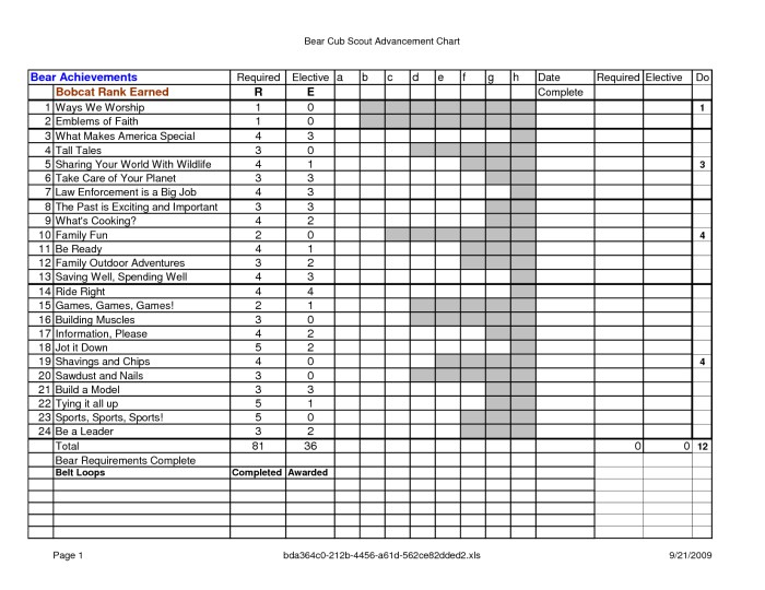 Bsa rifle merit badge worksheet