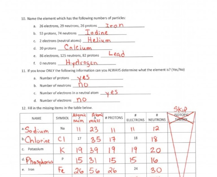 Cloning the basics answer key