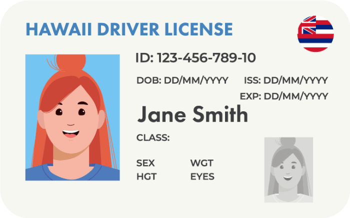 Hawaii driver's permit test answers