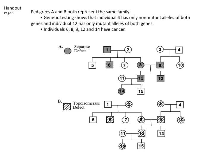 Practice pedigree charts answer key